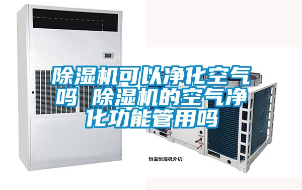 草莓视频APP在线观看可以净化空气吗 草莓视频APP在线观看的空气净化功能管用吗