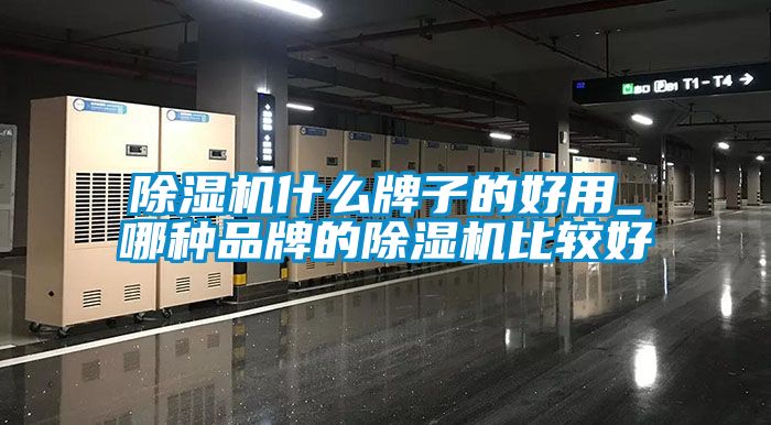 草莓视频APP在线观看什么牌子的好用_哪种品牌的草莓视频APP在线观看比较好