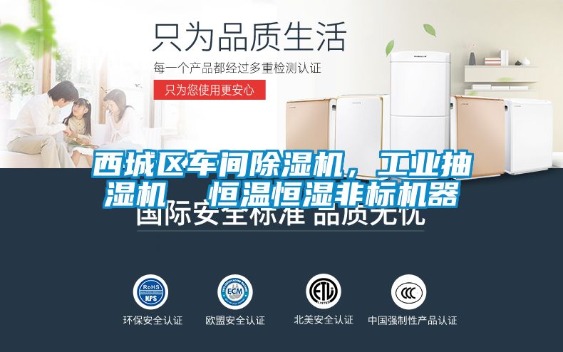 西城区车间草莓视频APP在线观看，工业抽湿机  恒温恒湿非标机器