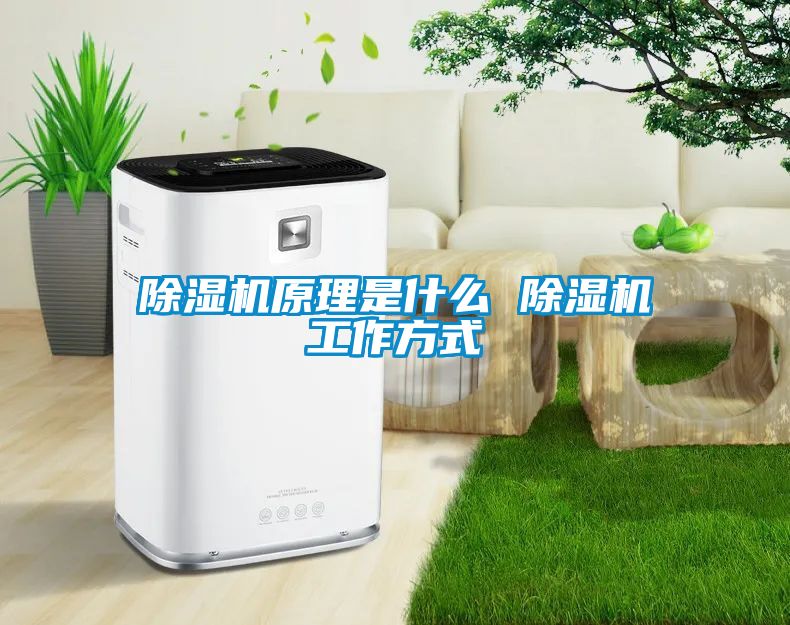 草莓视频APP在线观看原理是什么 草莓视频APP在线观看工作方式