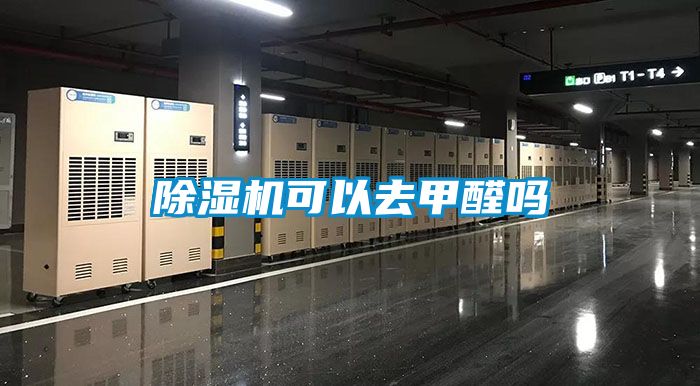 草莓视频APP在线观看可以去甲醛吗
