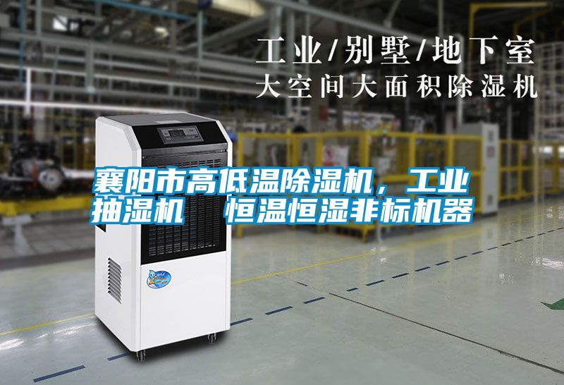襄阳市高低温草莓视频APP在线观看，工业抽湿机  恒温恒湿非标机器