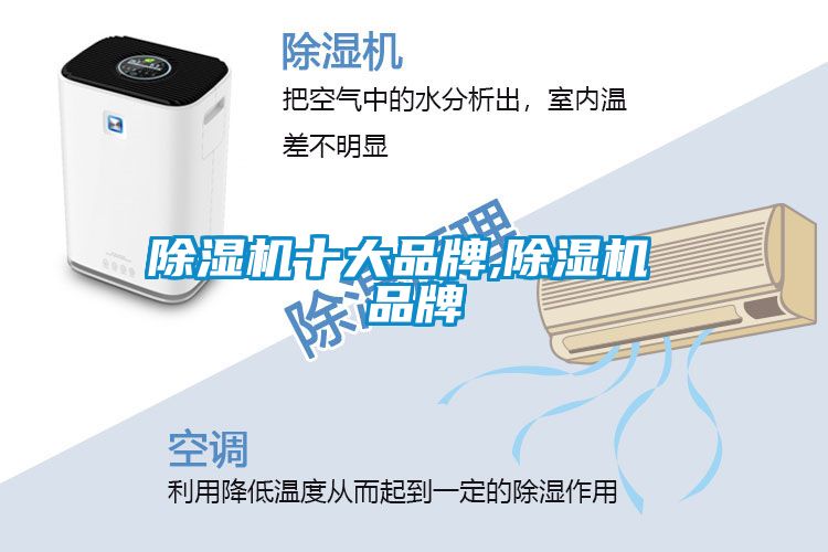 草莓视频APP在线观看十大品牌,草莓视频APP在线观看 品牌