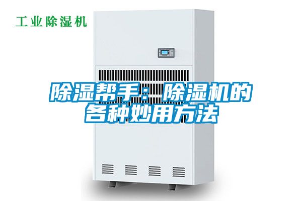 除湿帮手：草莓视频APP在线观看的各种妙用方法