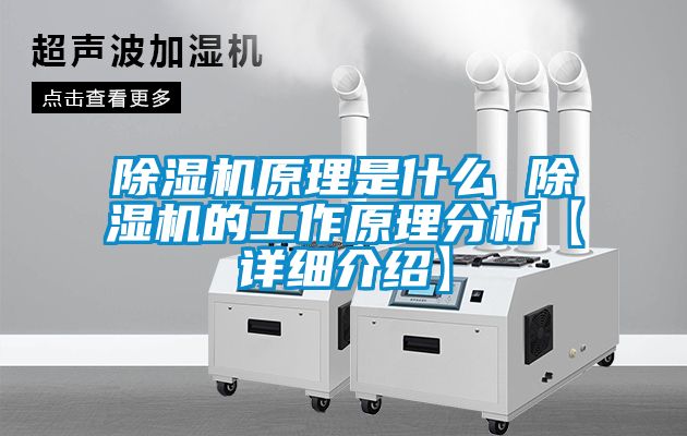 草莓视频APP在线观看原理是什么 草莓视频APP在线观看的工作原理分析【详细介绍】