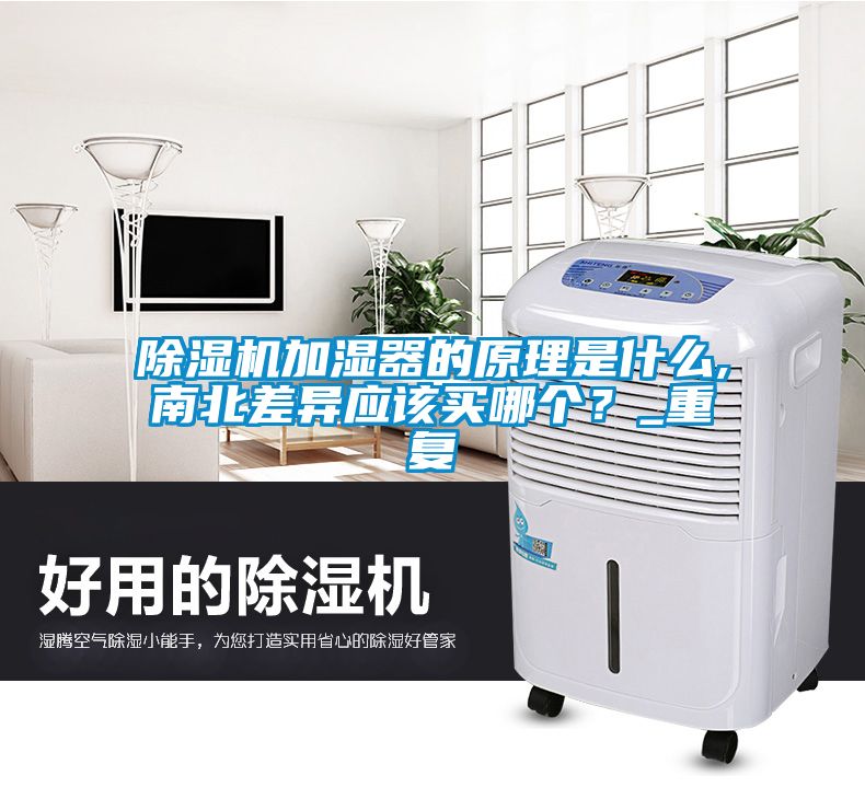草莓视频APP在线观看加湿器的原理是什么,南北差异应该买哪个？_重复