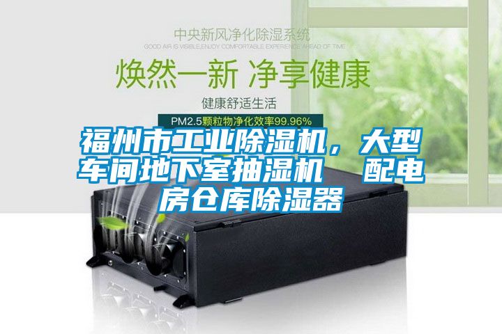 福州市工业草莓视频APP在线观看，大型车间地下室抽湿机  配电房仓库除湿器