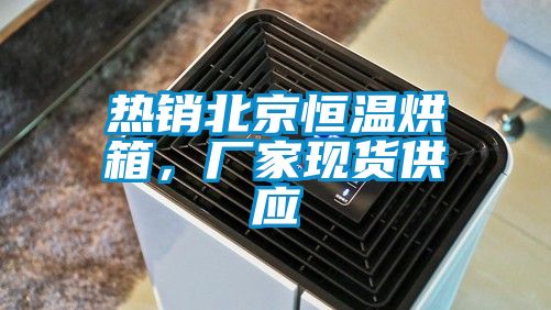 热销北京恒温烘箱，厂家现货供应