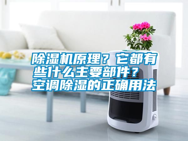 草莓视频APP在线观看原理？它都有些什么主要部件？ 空调除湿的正确用法