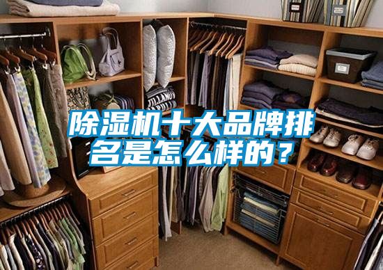草莓视频APP在线观看十大品牌排名是怎么样的？