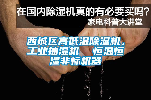 西城区高低温草莓视频APP在线观看，工业抽湿机  恒温恒湿非标机器