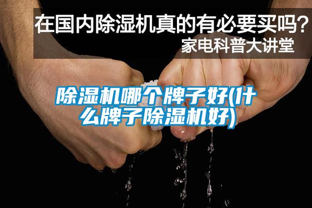 草莓视频APP在线观看哪个牌子好(什么牌子草莓视频APP在线观看好)