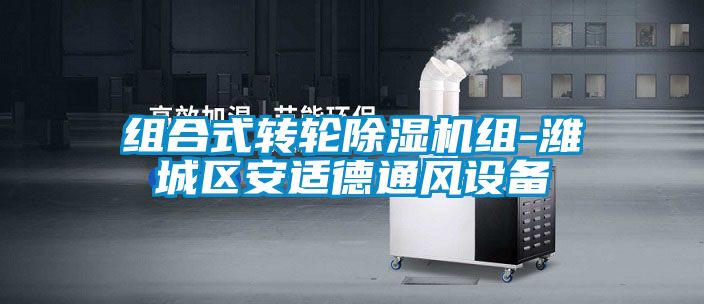 组合式转轮草莓视频APP在线观看组-潍城区安适德通风设备