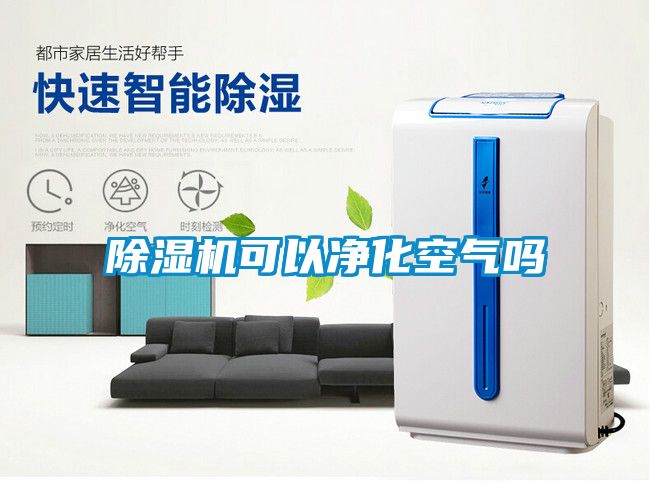 草莓视频APP在线观看可以净化空气吗