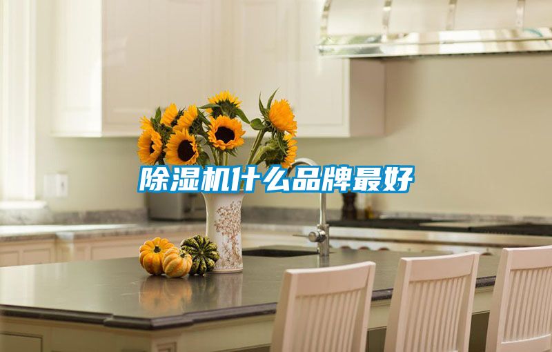 草莓视频APP在线观看什么品牌最好