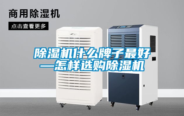 草莓视频APP在线观看什么牌子最好—怎样选购草莓视频APP在线观看