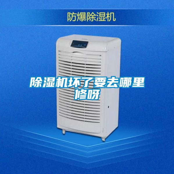 草莓视频APP在线观看坏了要去哪里修呀