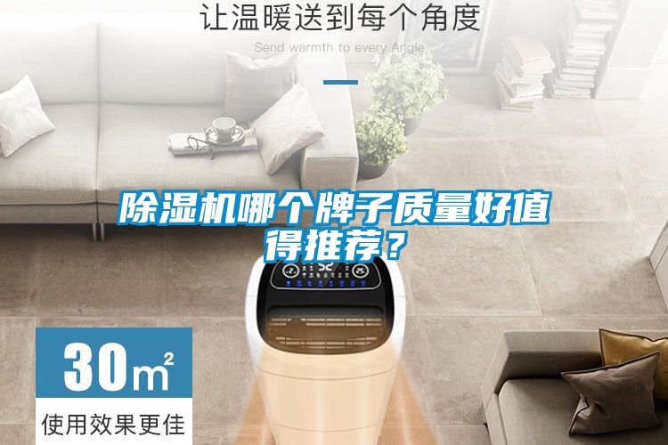 草莓视频APP在线观看哪个牌子质量好值得推荐？