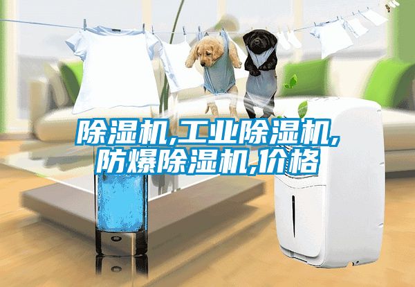 草莓视频APP在线观看,工业草莓视频APP在线观看,防爆草莓视频APP在线观看,价格