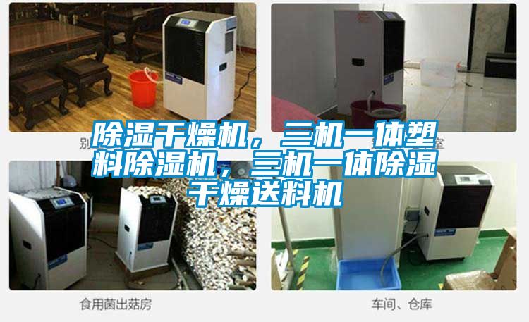 除湿干燥机，三机一体塑料草莓视频APP在线观看，三机一体除湿干燥送料机