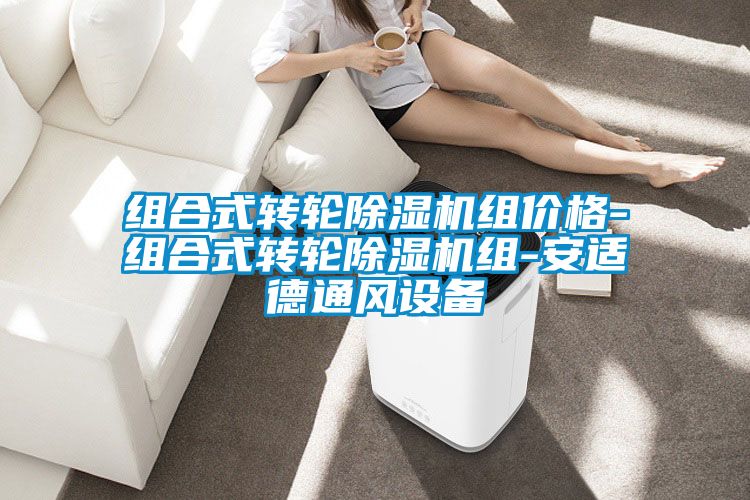 组合式转轮草莓视频APP在线观看组价格-组合式转轮草莓视频APP在线观看组-安适德通风设备
