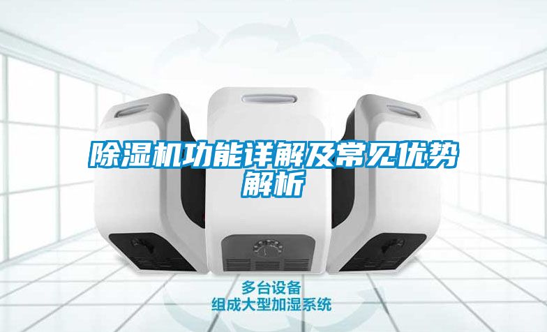 草莓视频APP在线观看功能详解及常见优势解析