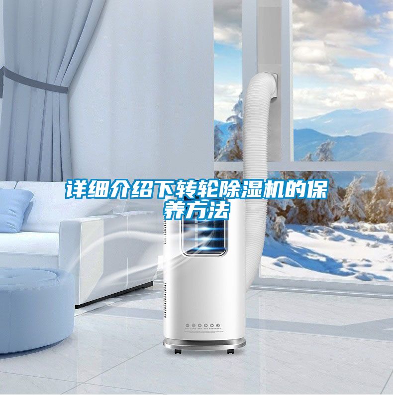 详细介绍下转轮草莓视频APP在线观看的保养方法