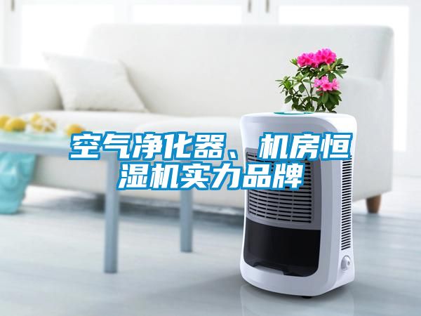 空气净化器、机房恒湿机实力品牌