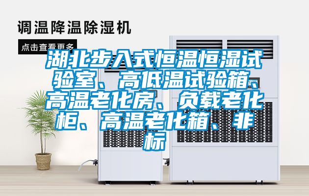湖北步入式恒温恒湿试验室、高低温试验箱、高温老化房、负载老化柜、高温老化箱、非标