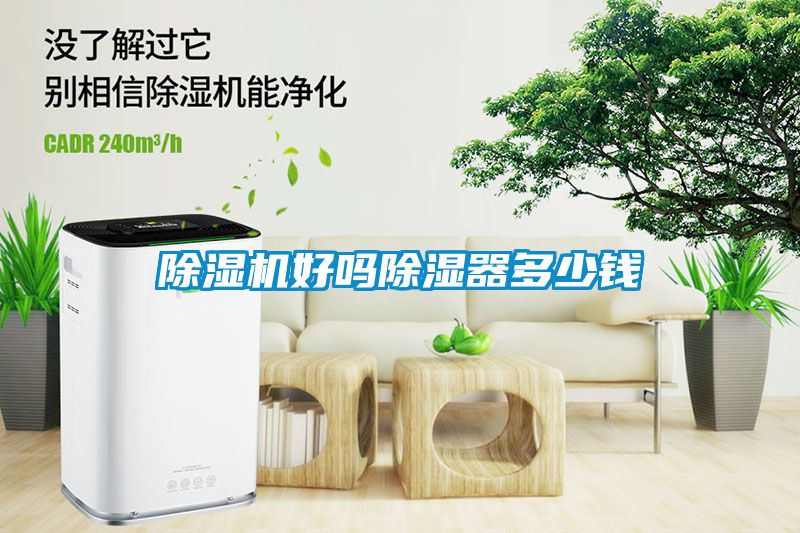 草莓视频APP在线观看好吗除湿器多少钱