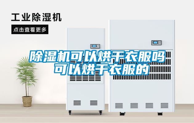 草莓视频APP在线观看可以烘干衣服吗 可以烘干衣服的