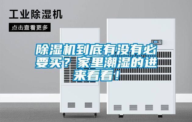 草莓视频APP在线观看到底有没有必要买？家里潮湿的进来看看！