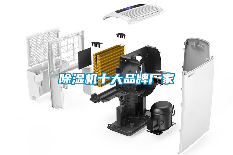 草莓视频APP在线观看十大品牌厂家