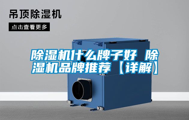 草莓视频APP在线观看什么牌子好 草莓视频APP在线观看品牌推荐【详解】