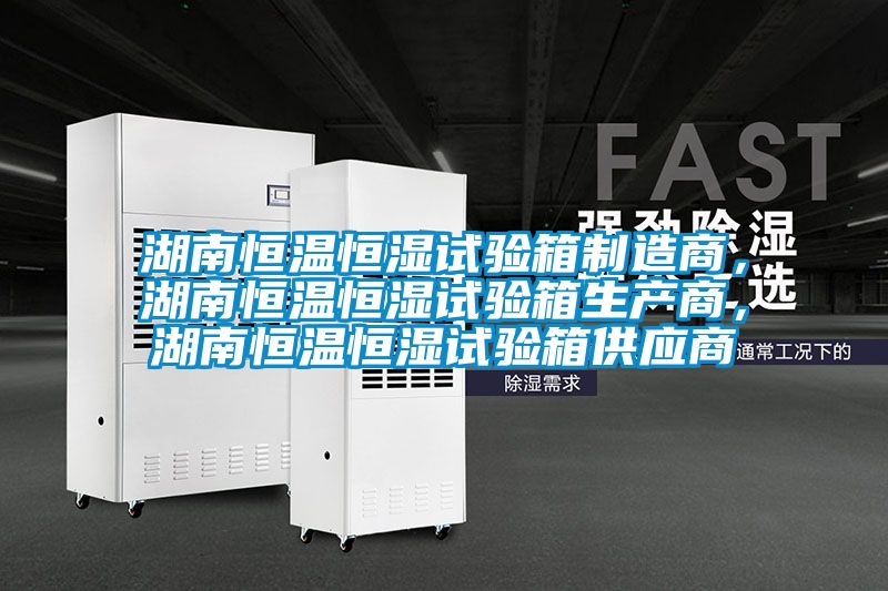 湖南恒温恒湿试验箱制造商，湖南恒温恒湿试验箱生产商，湖南恒温恒湿试验箱供应商