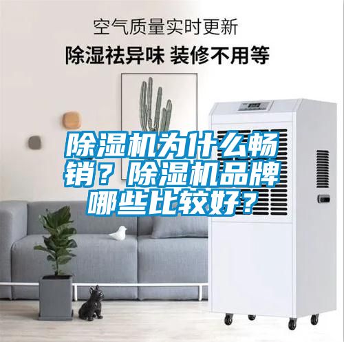 草莓视频APP在线观看为什么畅销？草莓视频APP在线观看品牌哪些比较好？
