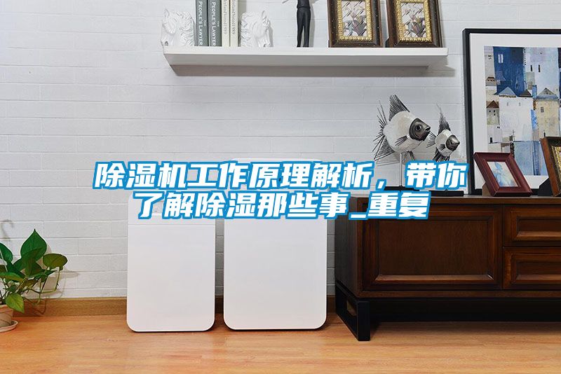 草莓视频APP在线观看工作原理解析，带你了解除湿那些事_重复