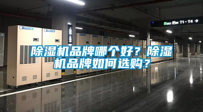 草莓视频APP在线观看品牌哪个好？草莓视频APP在线观看品牌如何选购？
