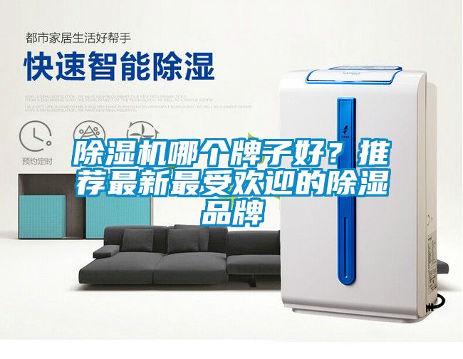 草莓视频APP在线观看哪个牌子好？推荐最新最受欢迎的除湿品牌