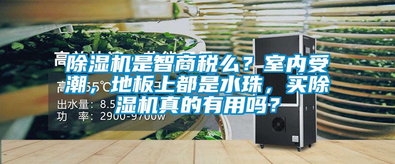 草莓视频APP在线观看是智商税么？室内受潮，地板上都是水珠，买草莓视频APP在线观看真的有用吗？