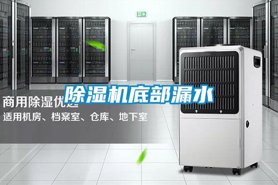 草莓视频APP在线观看底部漏水