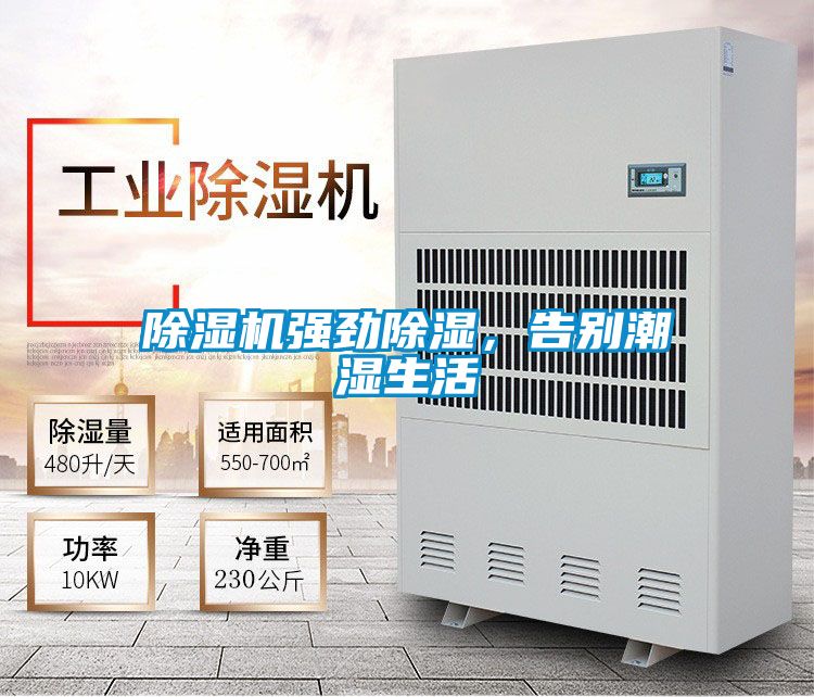 草莓视频APP在线观看强劲除湿，告别潮湿生活