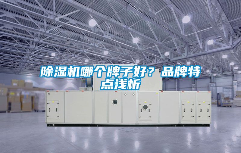 草莓视频APP在线观看哪个牌子好？品牌特点浅析