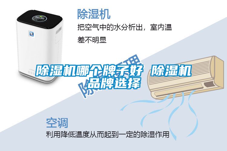 草莓视频APP在线观看哪个牌子好 草莓视频APP在线观看品牌选择