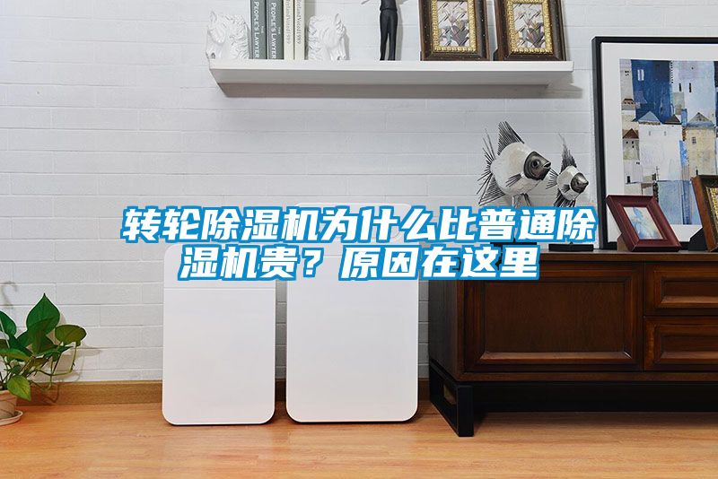 转轮草莓视频APP在线观看为什么比普通草莓视频APP在线观看贵？原因在这里