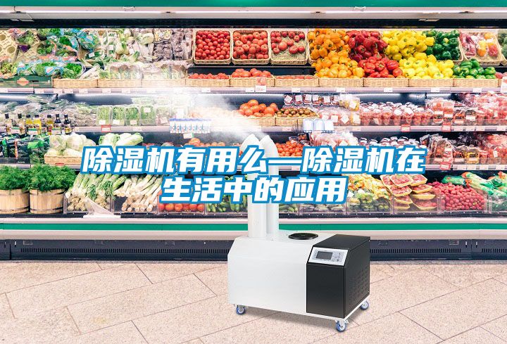 草莓视频APP在线观看有用么—草莓视频APP在线观看在生活中的应用