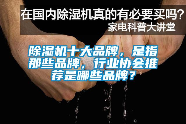 草莓视频APP在线观看十大品牌，是指那些品牌，行业协会推荐是哪些品牌？