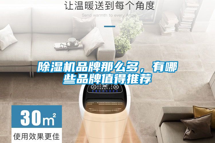 草莓视频APP在线观看品牌那么多，有哪些品牌值得推荐