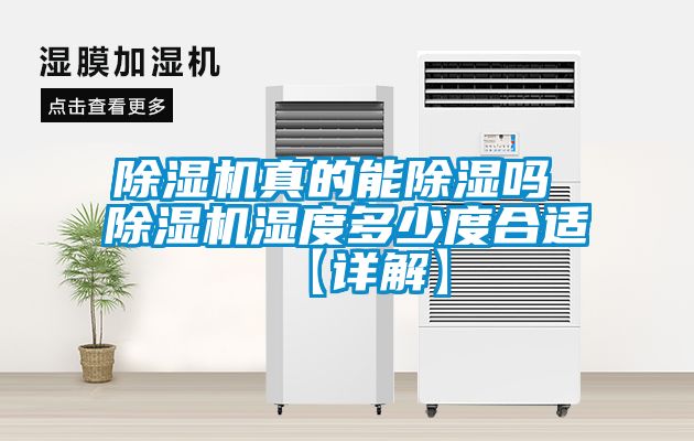 草莓视频APP在线观看真的能除湿吗 草莓视频APP在线观看湿度多少度合适【详解】
