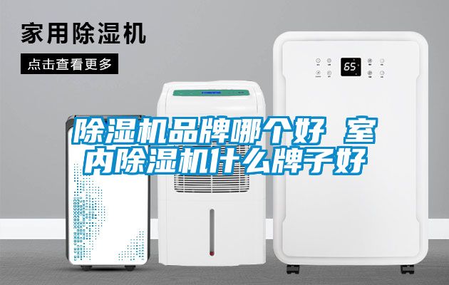 草莓视频APP在线观看品牌哪个好 室内草莓视频APP在线观看什么牌子好